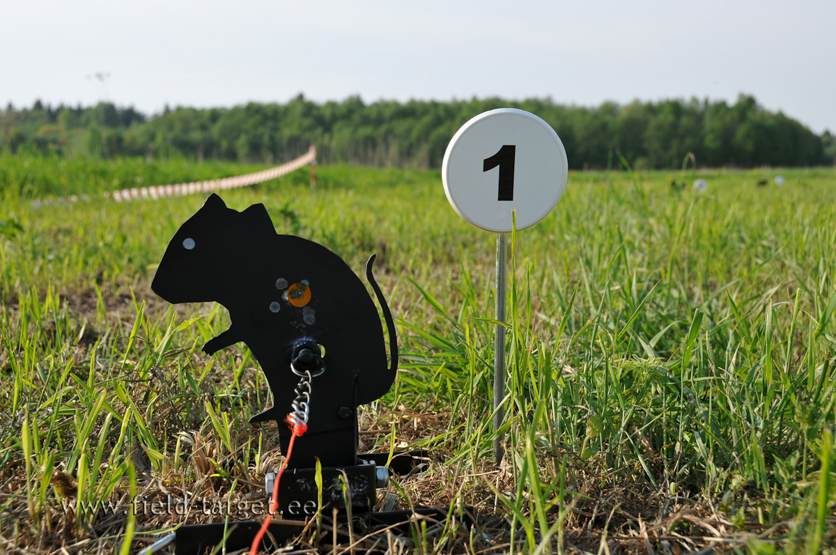 Märk 1 avaga 15 mm 15 m kaugusel